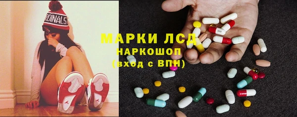 индика Новый Уренгой