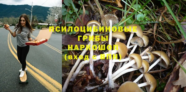mdpv Михайловка