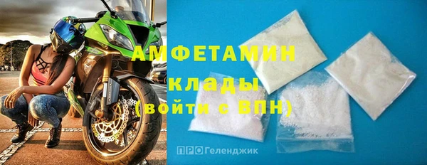 стафф Богданович